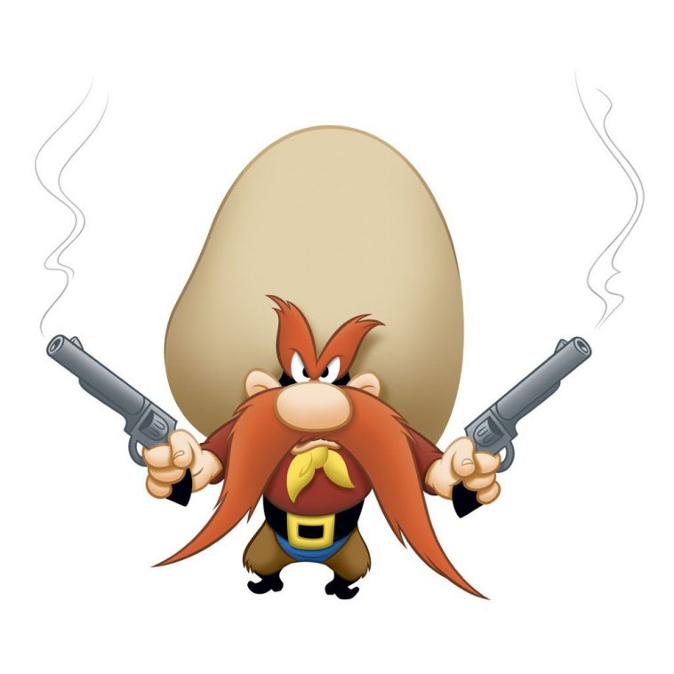 Yosemite Sam Costume Looney Tunes Fancy Dress