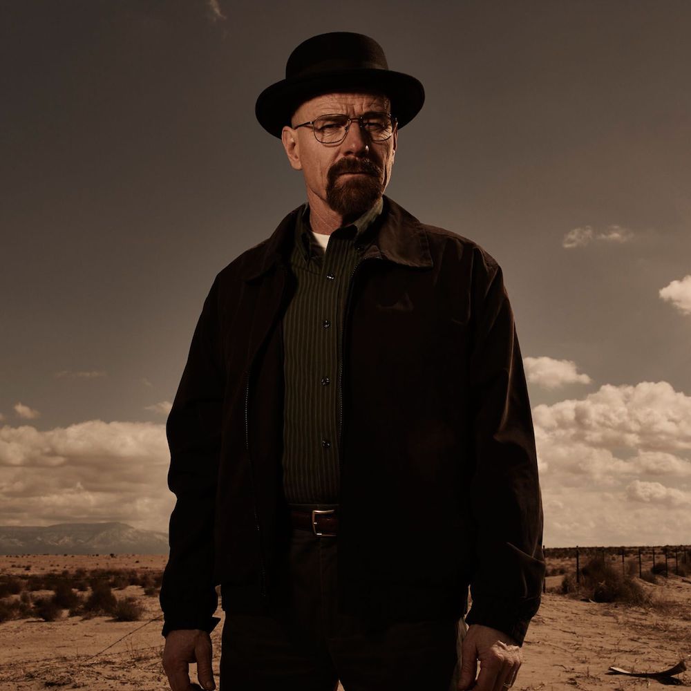 Walter White Costume Dress Like Walter White Breaking Bad Costume