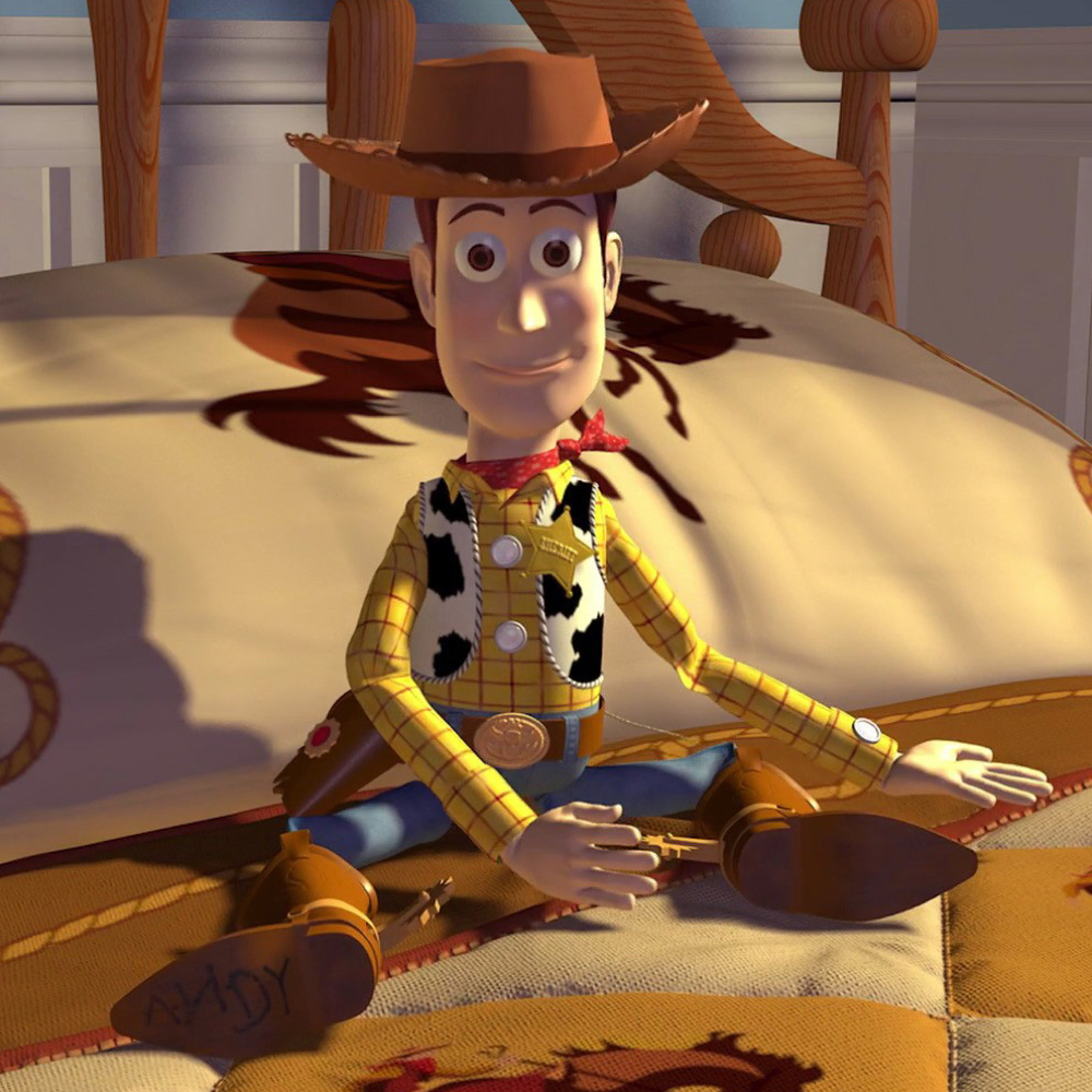 Woody Costume - Toy Story Costume - Woody Shirt