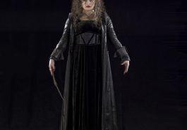 Bellatrix Lestrange Costume - Harry Potter Costume - Bellatrix Lestrange Cosplay