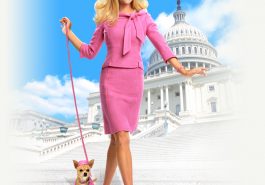 Elle Woods Costume - Legally Blonde Costume - Elle Woods Cosplay