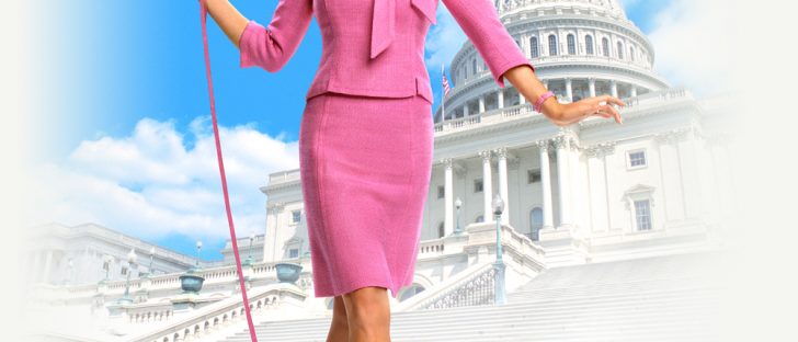 Elle Woods Costume - Legally Blonde Costume - Elle Woods Cosplay