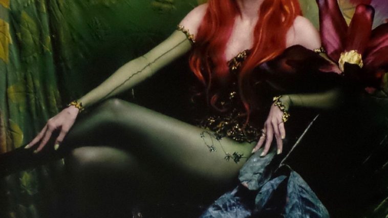 Poison Ivy Costume - Batman and Robin - Poison Ivy Cosplay