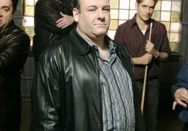 Tony Soprano Costume - The Sopranos - Tony Soprano Cosplay