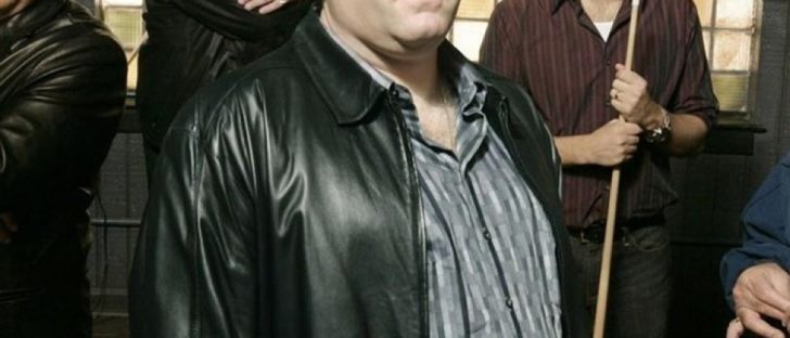 Tony Soprano Costume - The Sopranos - Tony Soprano Cosplay