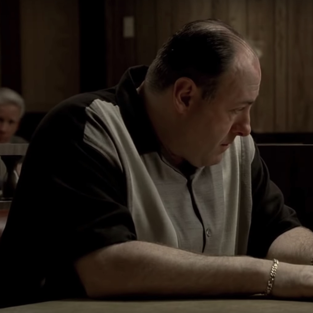 Tony Soprano Costume - The Sopranos - Tony Soprano Shirt