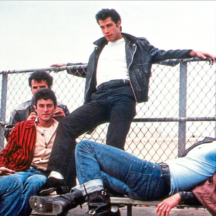 Danny Zuko Costume Greace Fancy Dress and Halloween Costume