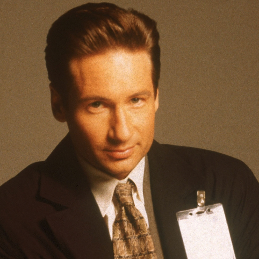 Fox Mulder Costume - The X-Files Fancy Dress - Fox Mulder Necktie