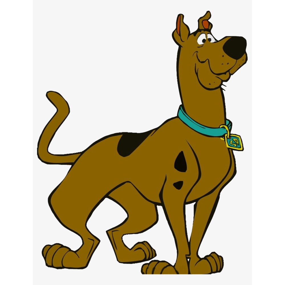 Shaggy Rogers Costume - Scooby Doo Fancy Dress - Shaggy Rogers Scooby Doo