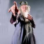 Albus Dumbledore Costume - Harry Potter Fancy Dress - Cosplay
