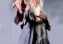 Albus Dumbledore Costume - Harry Potter Fancy Dress - Cosplay