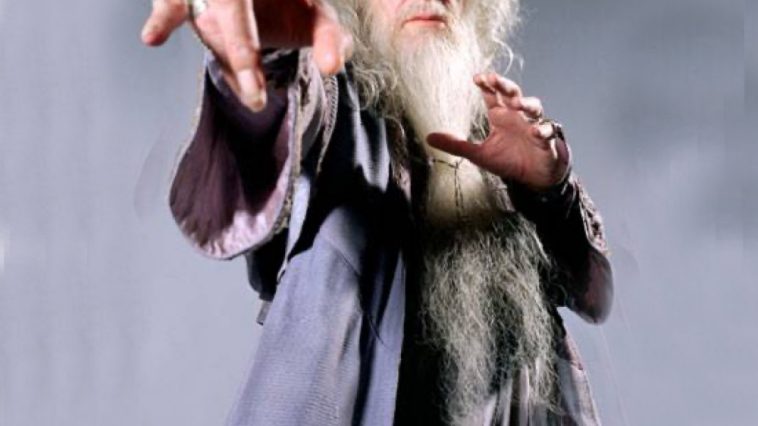 Albus Dumbledore Costume - Harry Potter Fancy Dress - Cosplay