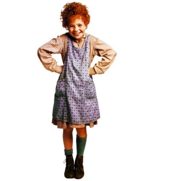 Orphan Annie Costume Annie Fancy Dress 4730
