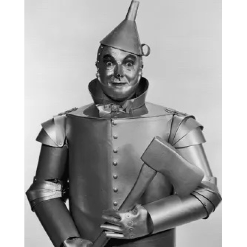Tin Man Costume - The Wizard of Oz Fancy Dress - Cosplay - Axe