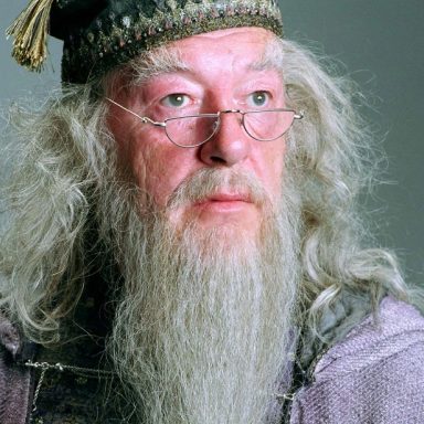 Albus Dumbledore Costume - Harry Potter Fancy Dress