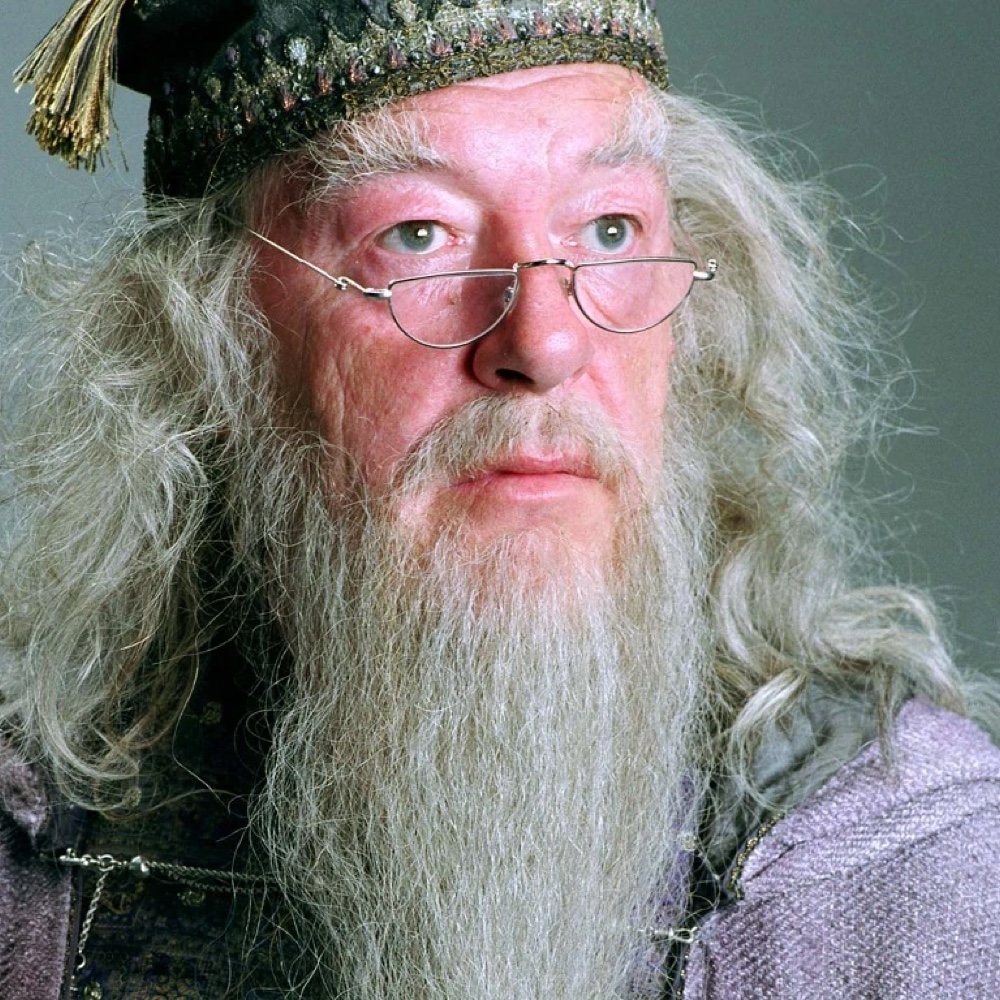 Albus Dumbledore Costume - Harry Potter Fancy Dress - Cosplay - Beard and Wig