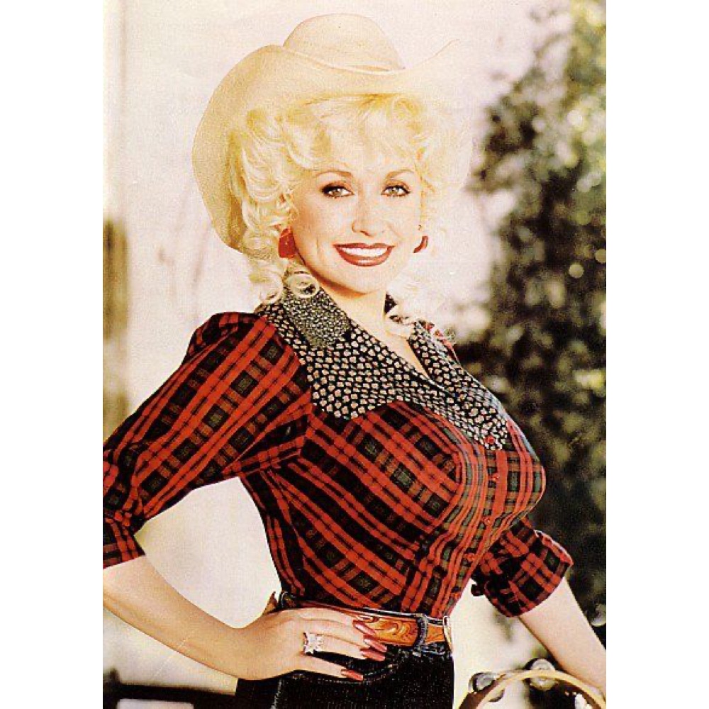 Dolly Parton Costume - Fancy Dress - Cosplay - Belt