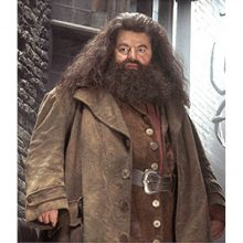 Rubeus Hagrid Costume - Harry Potter Fancy Dress