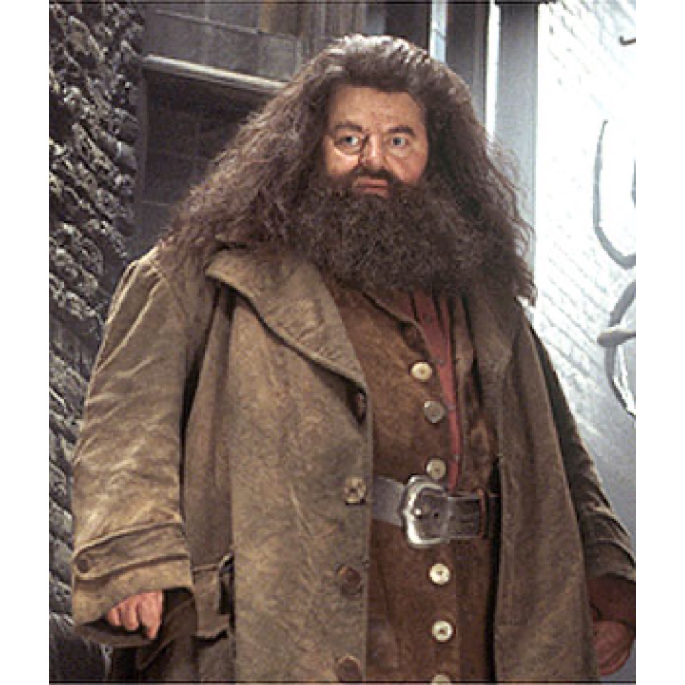 Rubeus Hagrid Costume - Harry Potter - Fancy Dress - Cosplay - Belt