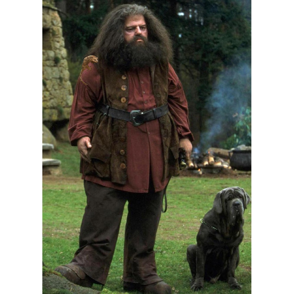 Rubeus Hagrid Costume - Harry Potter - Fancy Dress - Cosplay - Boots