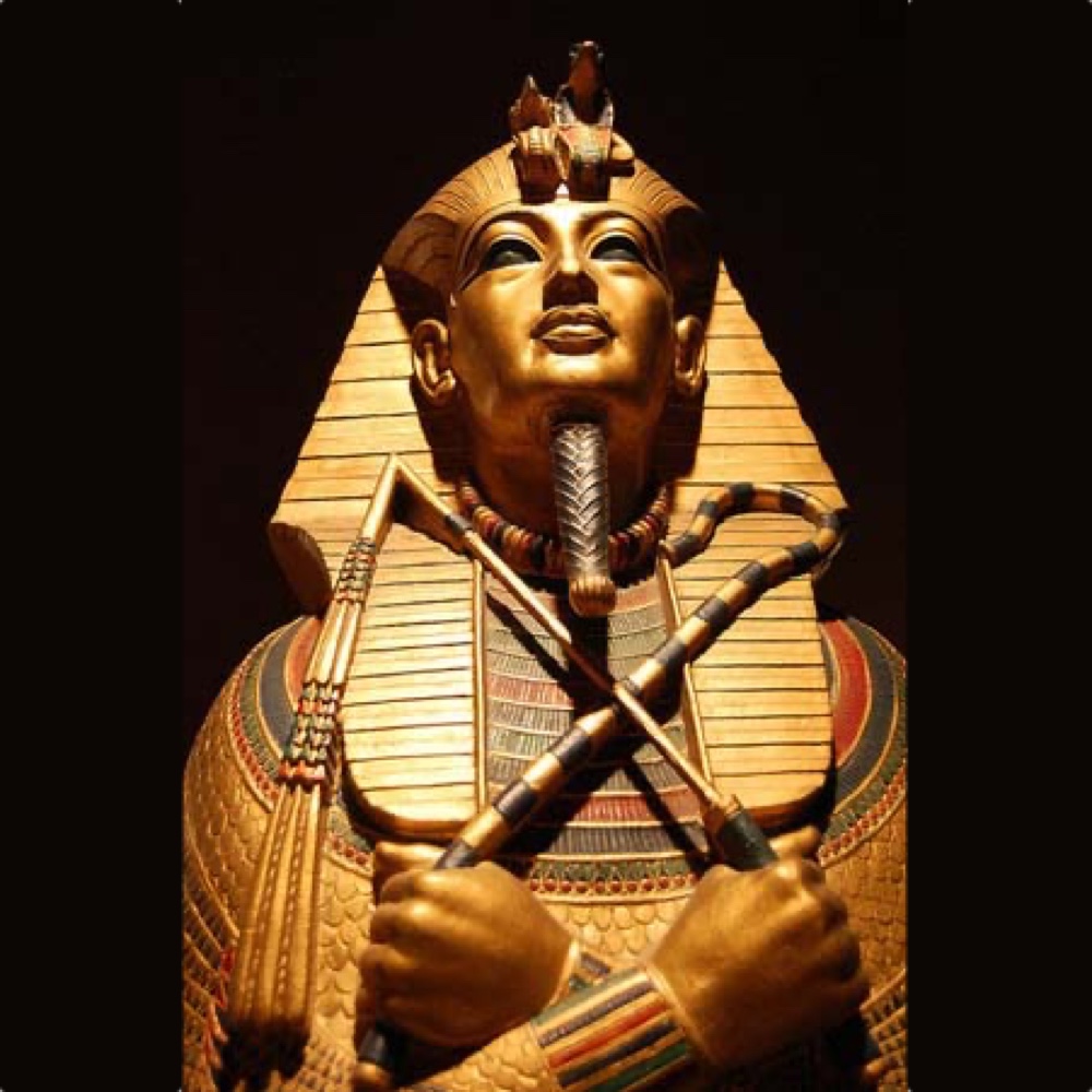 Egyptian Pharaoh Costume - Fancy Dress - Cosplay - Snake Cane