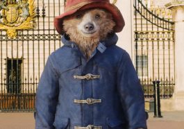 Paddington Bear Costume- Cosplay - Fancy Dress - Complete Costume - DIY - Homemade - Trench Coat