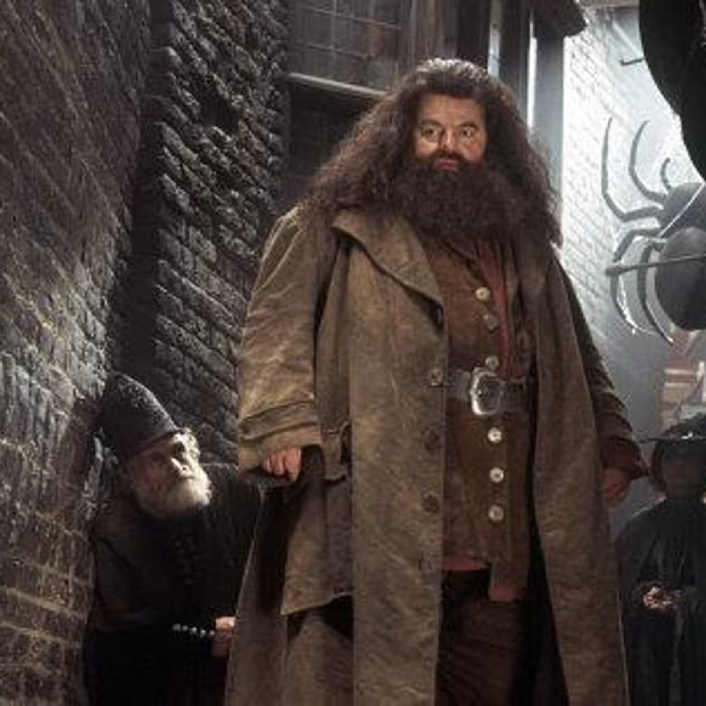 Rubeus Hagrid Costume - Harry Potter - Fancy Dress - Cosplay - Trench Coat