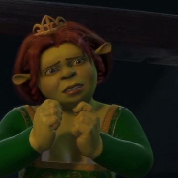Princess Fiona Costume - Shrek Fancy Dress Ideas