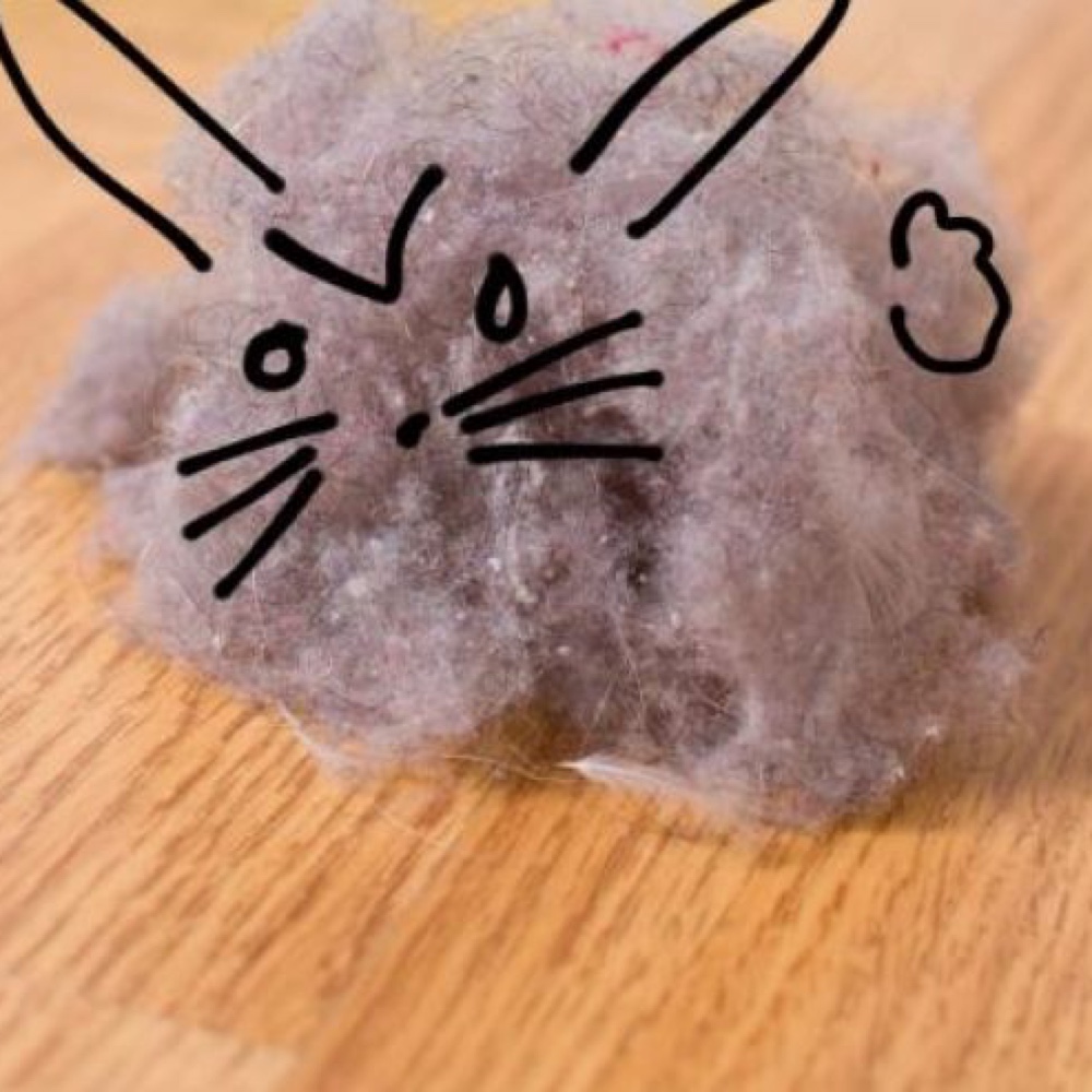 Dust Bunny Costume Simple Fancy Dress Ideas