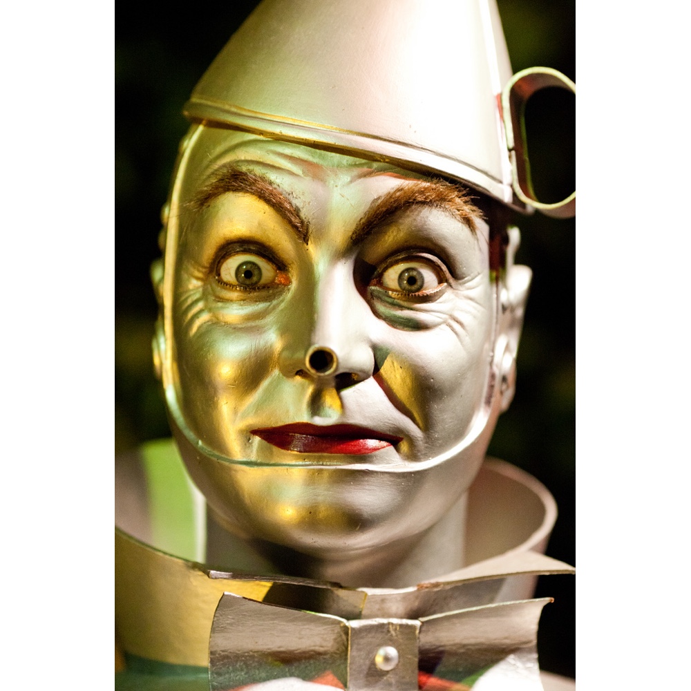 Tin Man Costume - The Wizard of Oz Fancy Dress - Cosplay - Face Paint