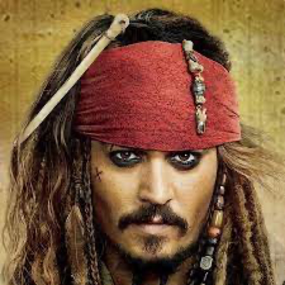 Jack Sparrow Costume - Pirates of the Caribbean Fancy Dress - Cosplay - Facial Hair
