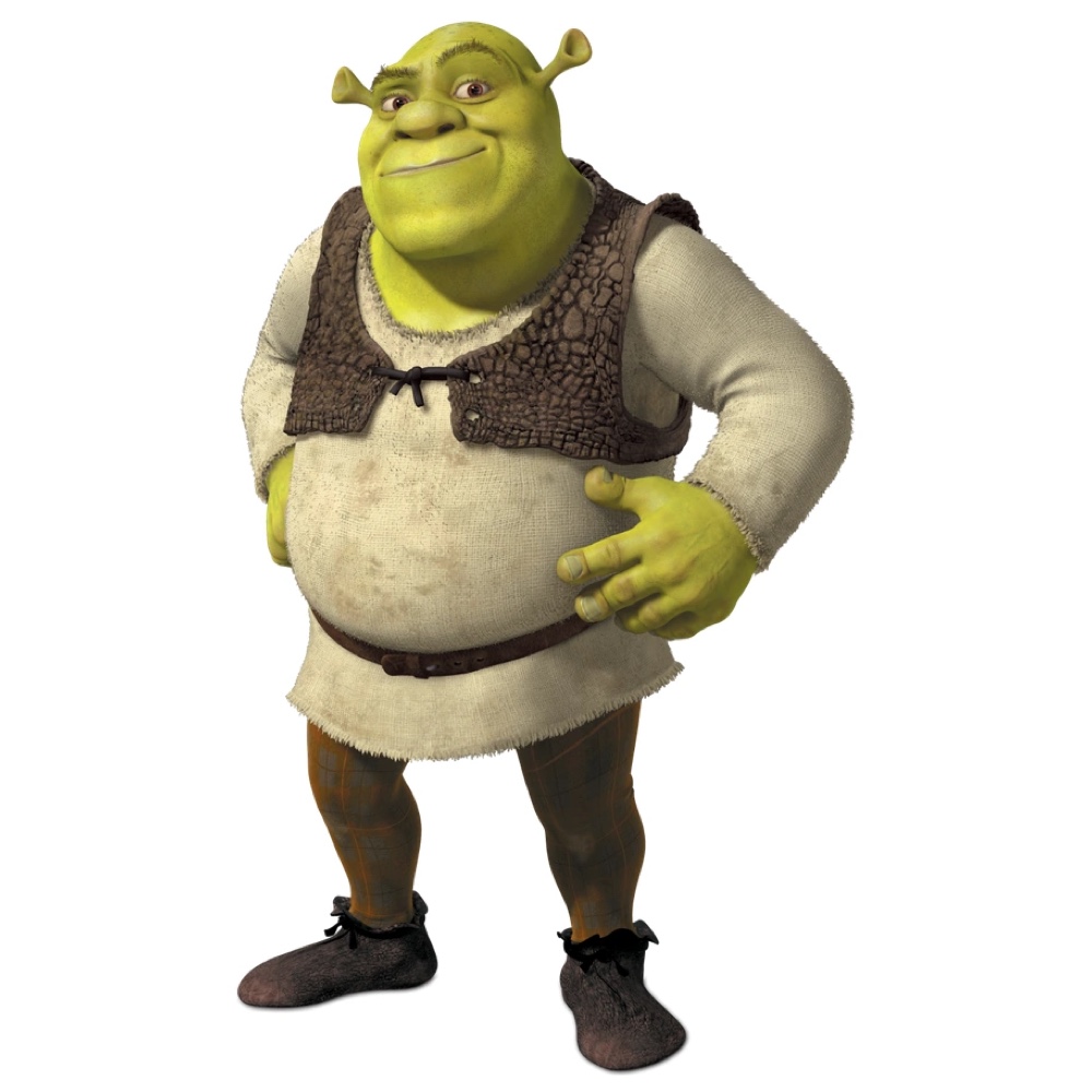 Shrek Costume - Fancy Dress - Cosplay - Fat Suit
