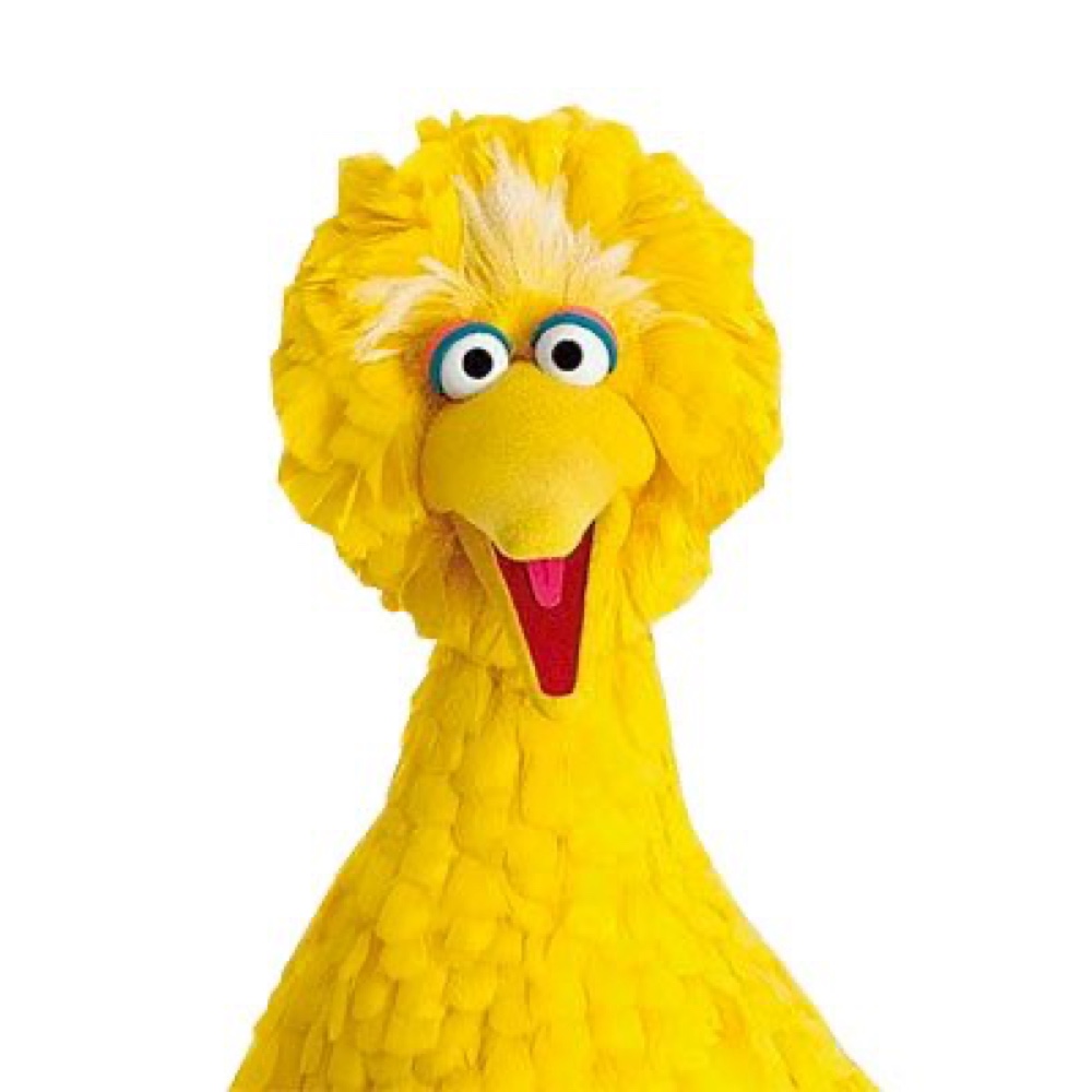 Big Bird Costume - Sesame Street Fancy Dress - Cosplay - Feather Boa