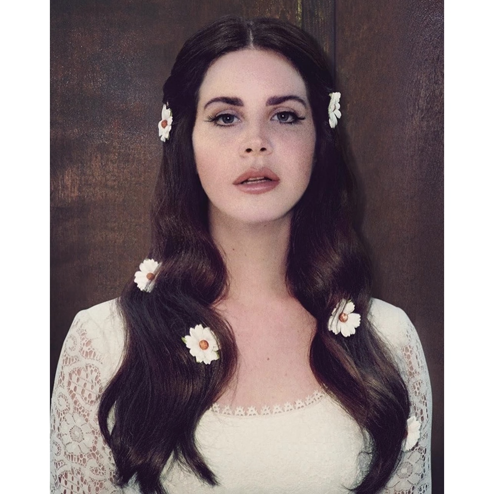 Lana Del Rey Costume - Celebrity Fancy Dress - Cosplay - Style - Flower Hair Clips