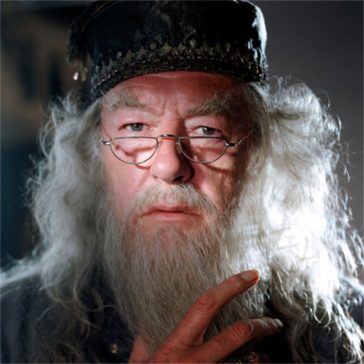 Albus Dumbledore Costume - Harry Potter Fancy Dress