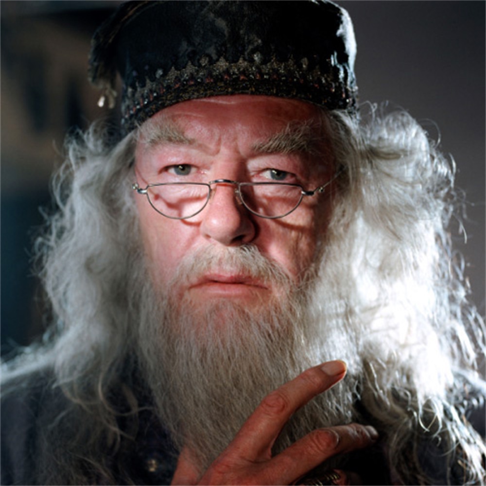 Albus Dumbledore Costume - Harry Potter Fancy Dress - Cosplay - Eyeglasses