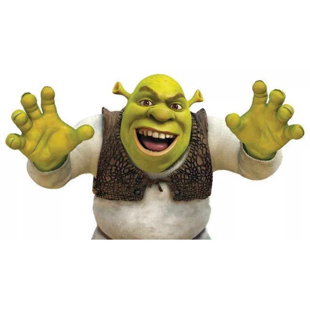 Shrek Costume - Fancy Dress - Cosplay - Hands and Mask