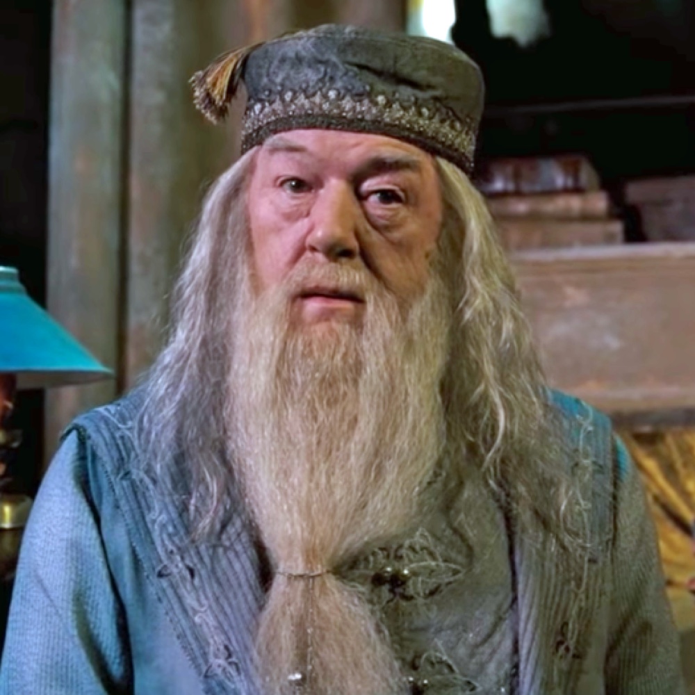 Albus Dumbledore Costume - Harry Potter Fancy Dress - Cosplay - Hat