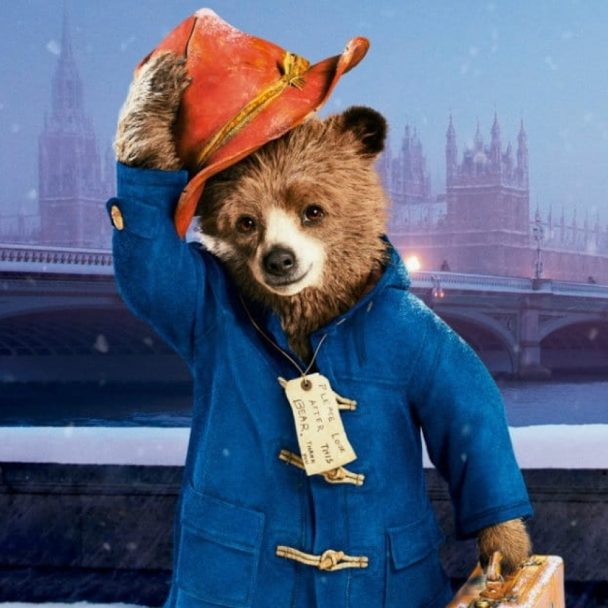 Paddington Bear Costume Fancy Dress
