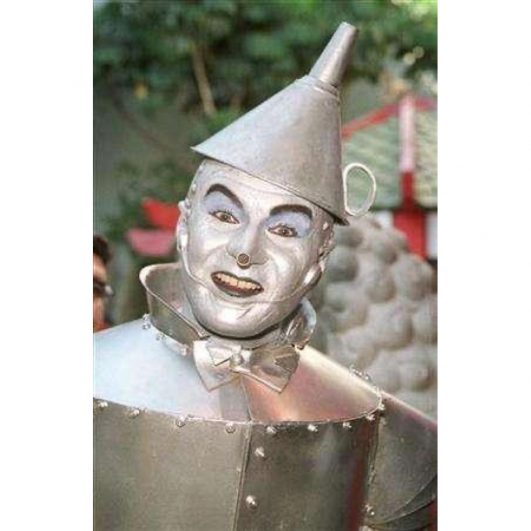 Tin Man Costume - The Wizard of Oz Fancy Dress