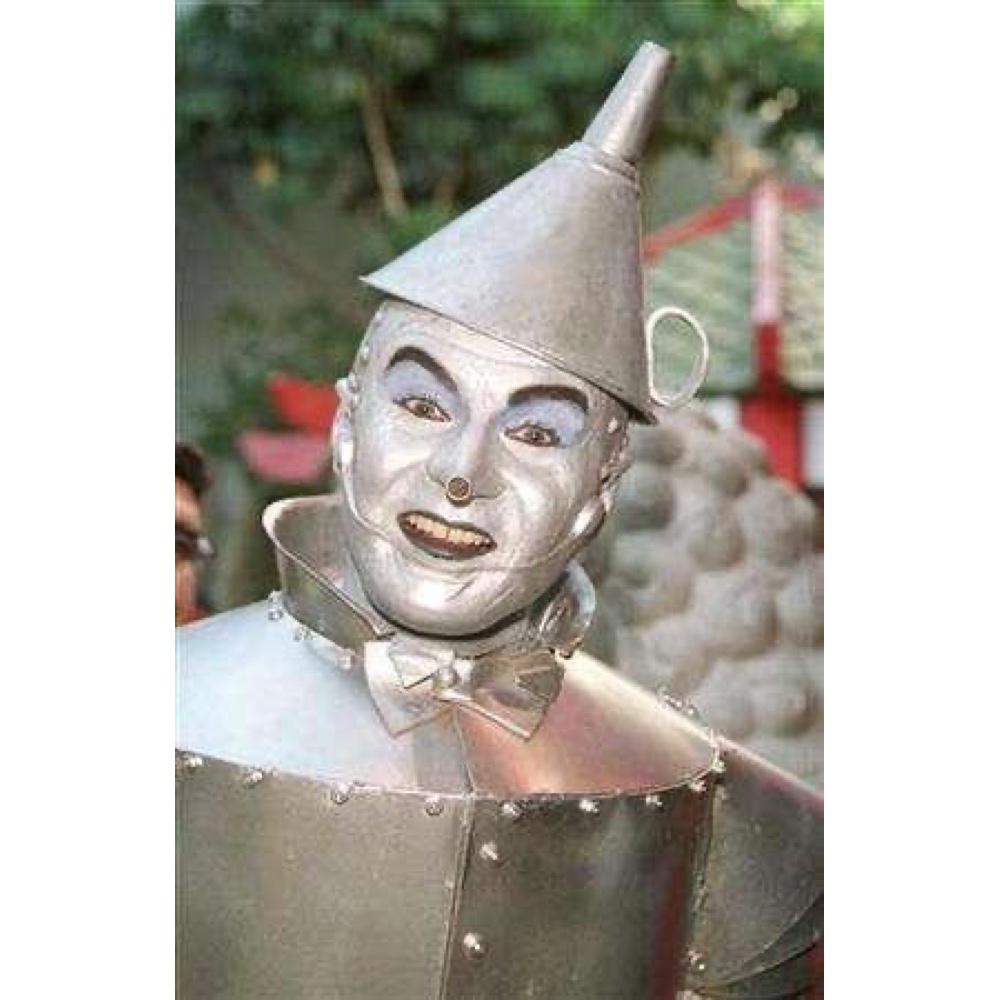 Tin Man Costume - The Wizard of Oz Fancy Dress - Cosplay - Funnel Hat