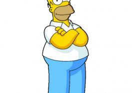 Homer Simpson Costume - The Simpsons Fancy Dress - Cosplay