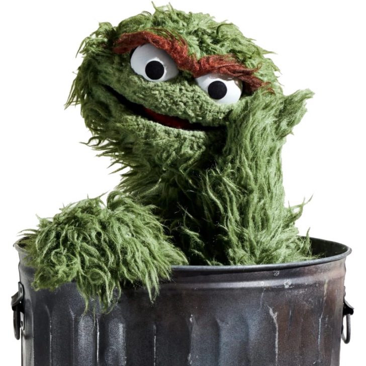 Oscar The Grouch Costume Sesame Street Fancy Dress 0863