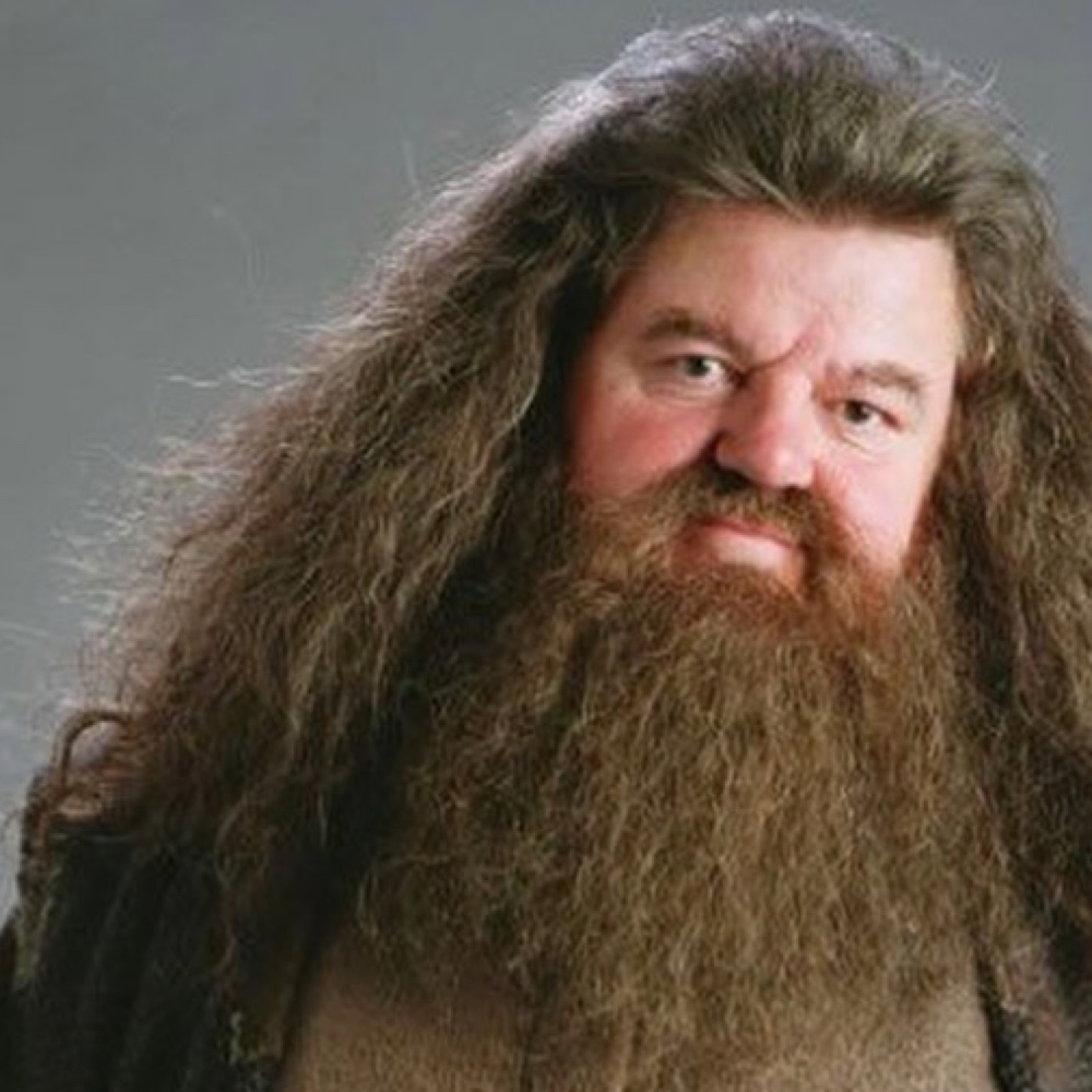 Rubeus Hagrid Costume - Harry Potter - Fancy Dress - Cosplay - Keychain