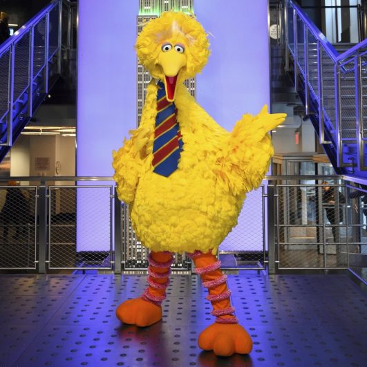 Big Bird Costume - Sesame Street Fancy Dress