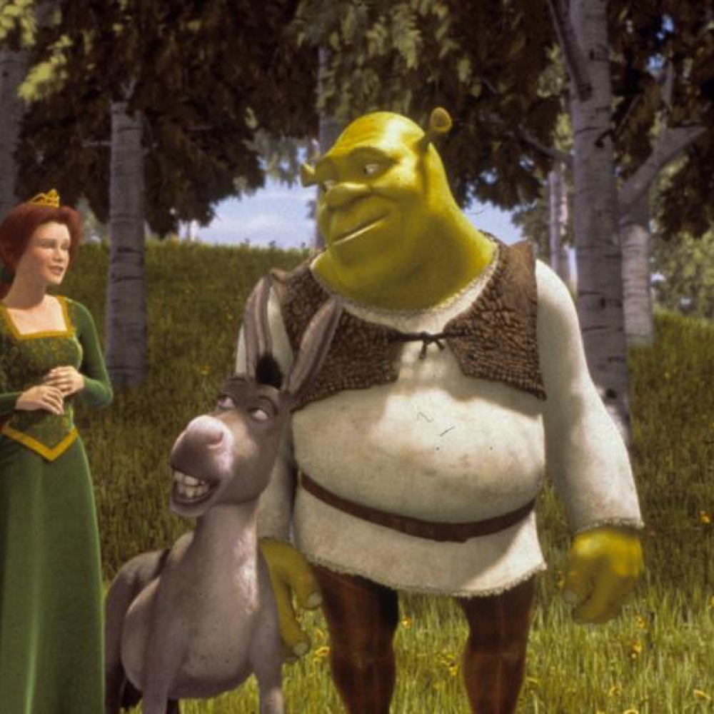 Shrek Costume - Fancy Dress - Cosplay - Leggings