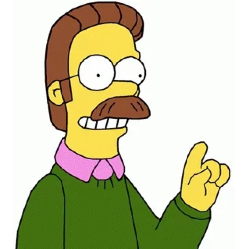 Ned Flanders Costume - The Simpsons Fancy Dress - Cosplay - Mustache
