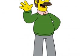 Ned Flanders Costume - The Simpsons Fancy Dress - Cosplay