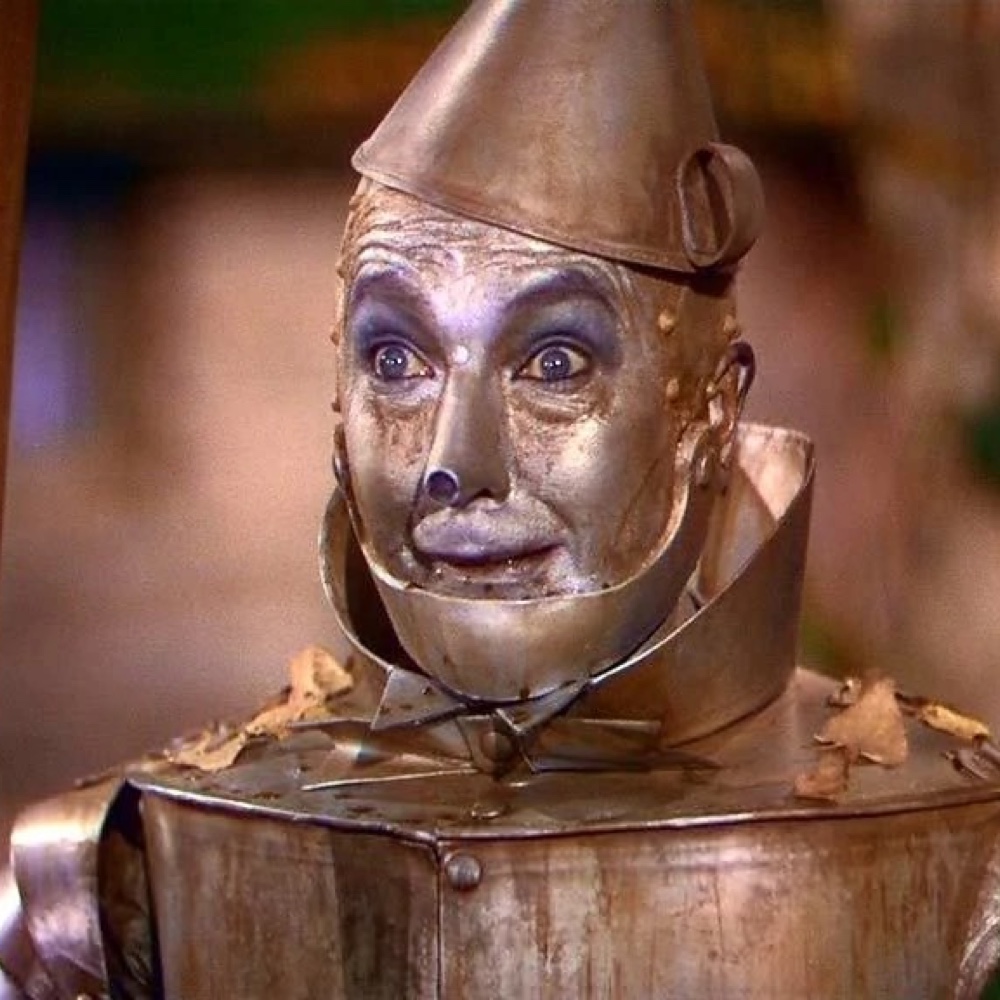 Tin Man Costume - The Wizard of Oz Fancy Dress - Cosplay - Silver Paint