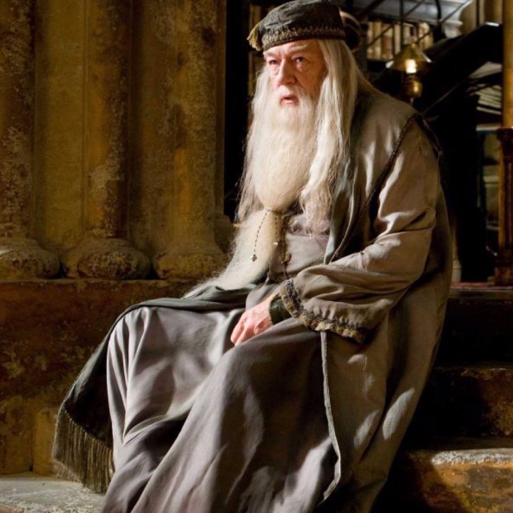 Albus Dumbledore Costume - Harry Potter Fancy Dress - Cosplay - Pants